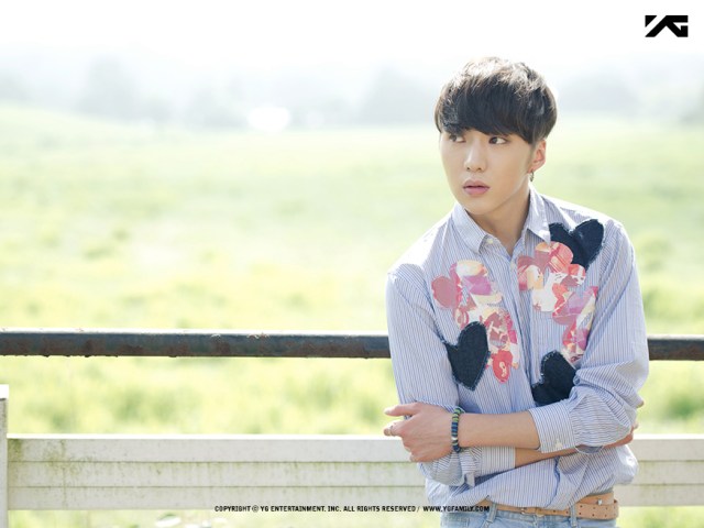 gallery_ksy_ds_stealer_04