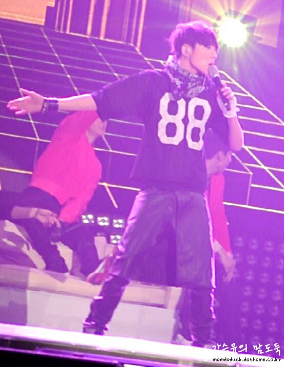 b1126c8d2f5a3e1338af91e64b24c808