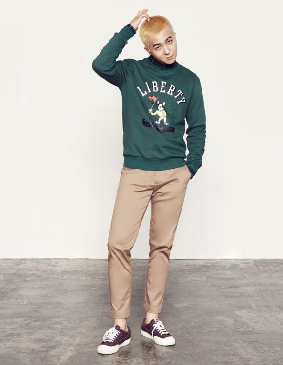 -data-Images-NII_COLLEC_visual_33_L