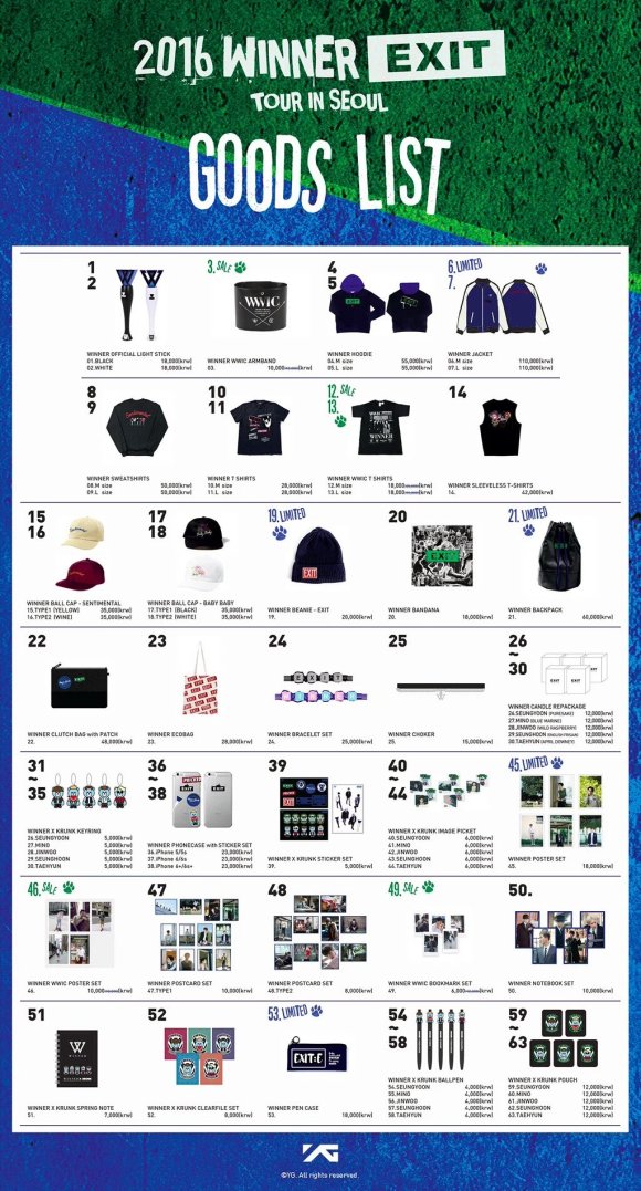 160310 WINNER EXIT TOUR CONCERT GOODS